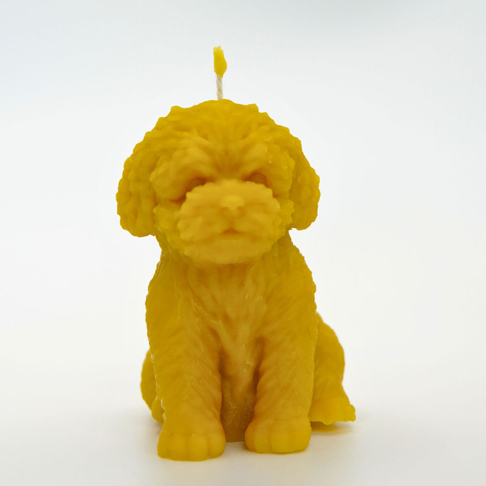 Hand-poured dog beeswax candle by Buzzy Honey Bee, Nottingham